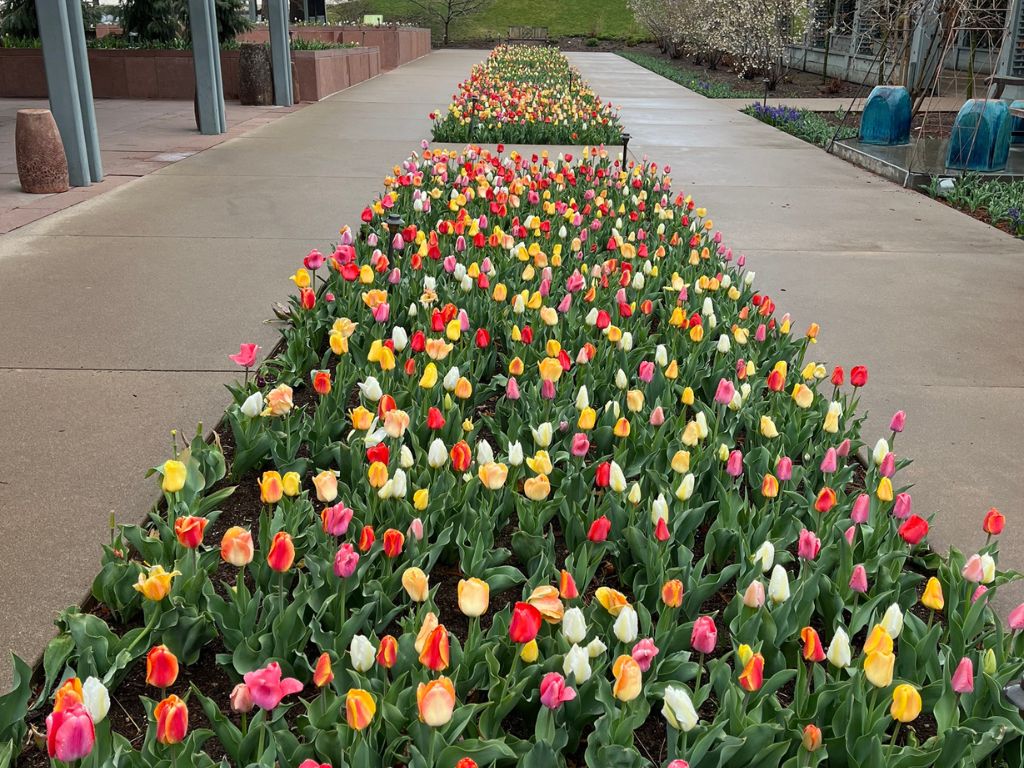 Denver Botanic Gardens 3