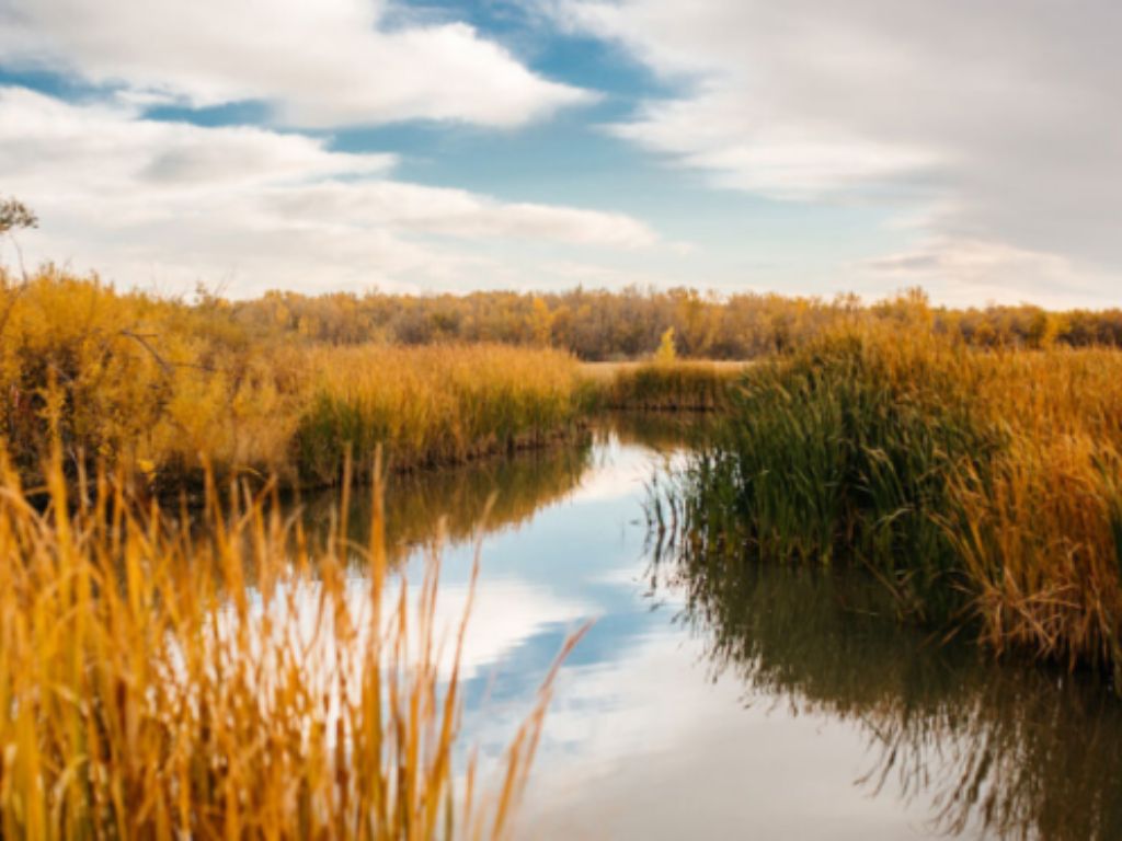 Cherry Creek State Park 1