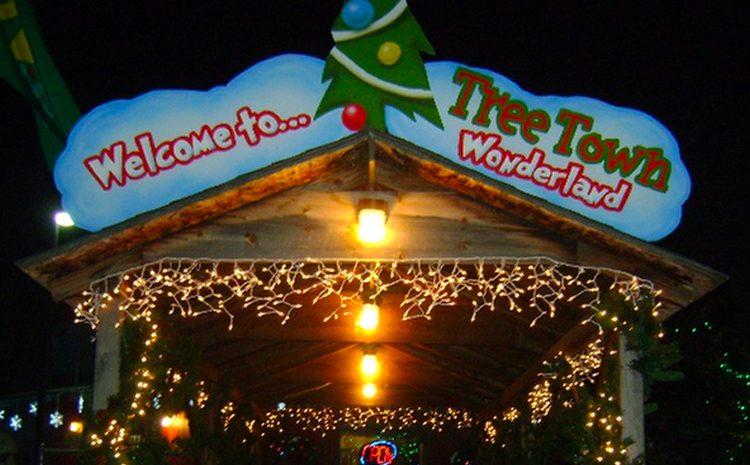 Tree Town Wonderland | Denver