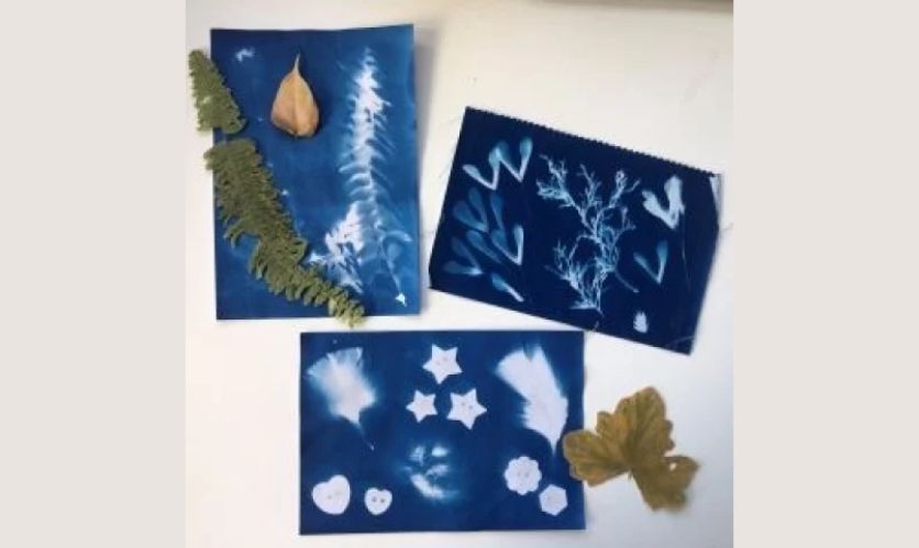 Science Studio for Homeschoolers: Cyanotypes | Denver