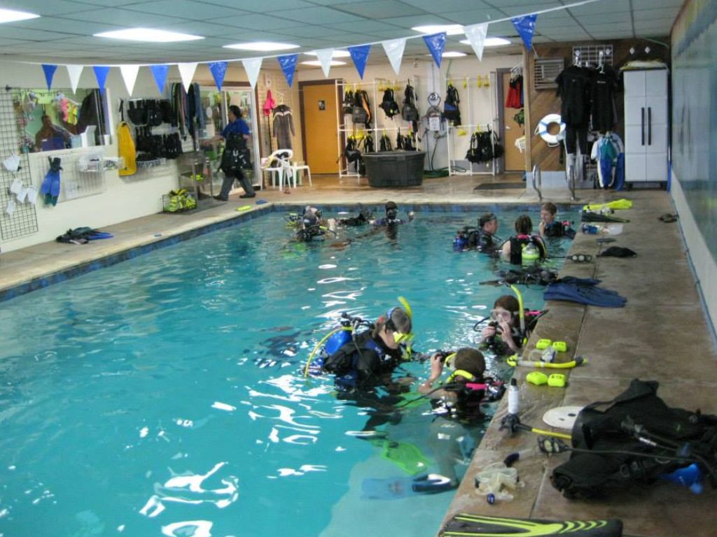 Denver Divers & The Swim School of Denver