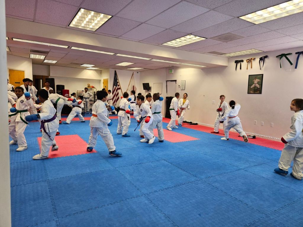 American Shotokan Karate Federation